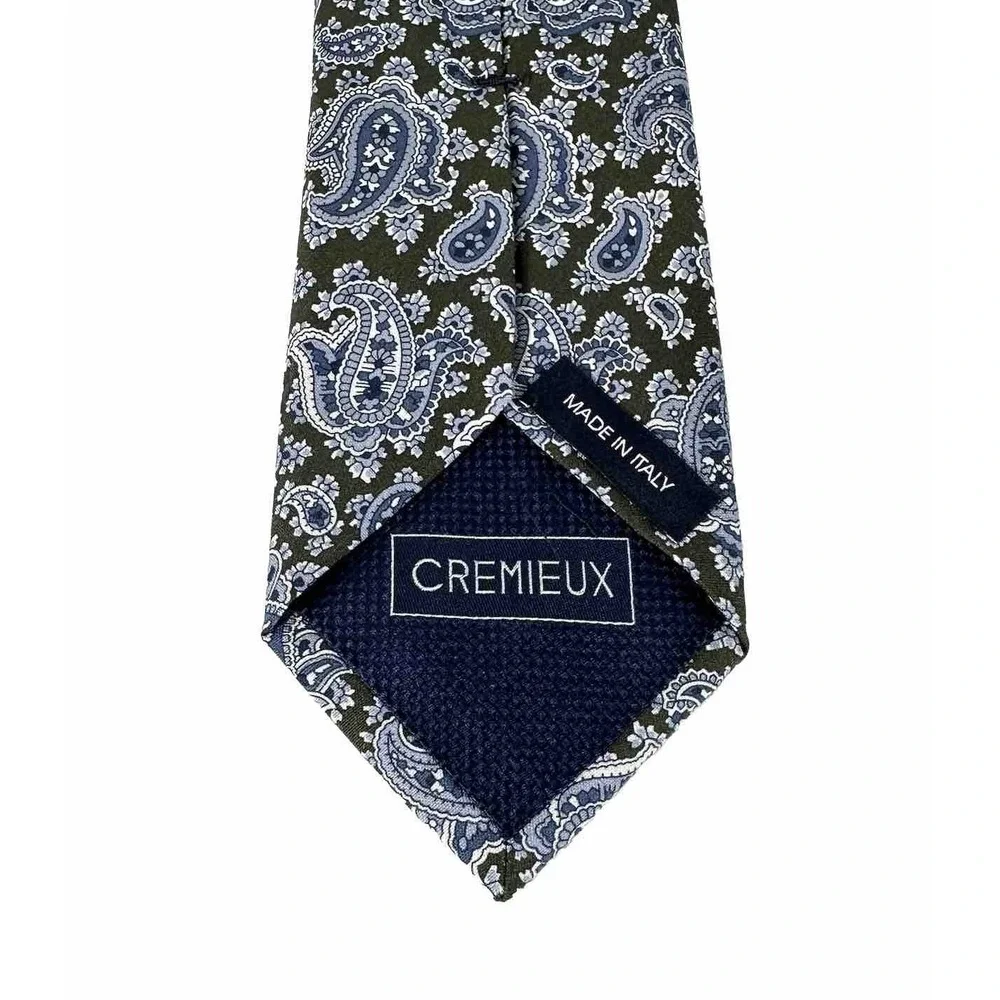 Daniel Cremieux Men's Blue Green Paisley 100%‎ Silk Neck Tie Made In Italy NWT